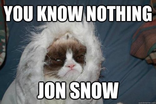 odd_you_know_nothing_jon_snow